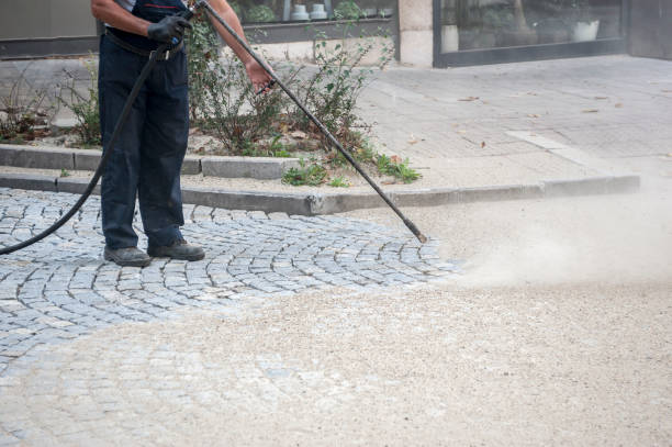 Best Roof Washing  in Hernando, FL