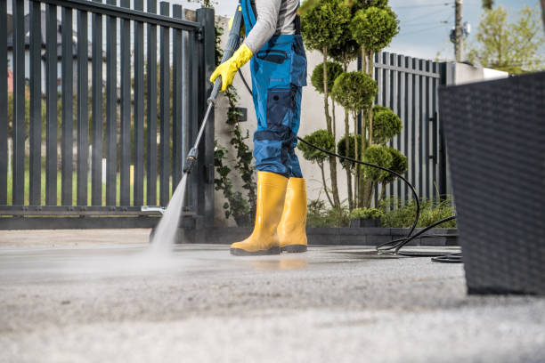 Best Solar Panel Cleaning  in Hernando, FL